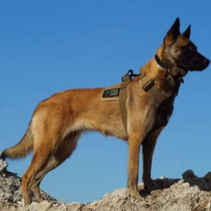 K9 Thorn - Delta valjaat