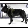 K9 Thorn - Delta valjaat